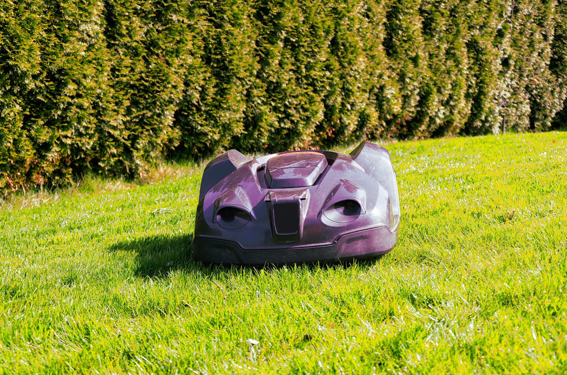 Rasenmäher Roboter Entsorgung